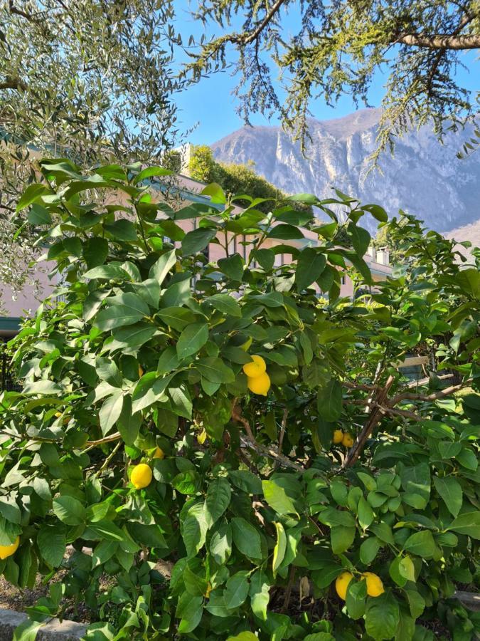 Le Peonie Apartment Riva del Garda Luaran gambar
