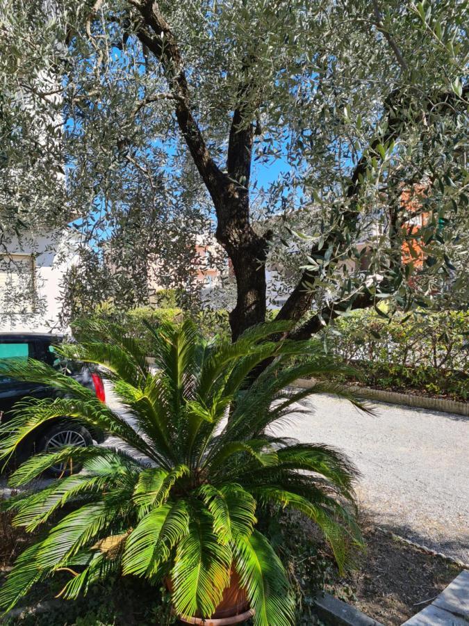 Le Peonie Apartment Riva del Garda Luaran gambar